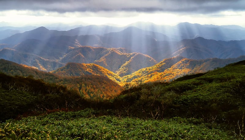 Mountains and Alpine Regions